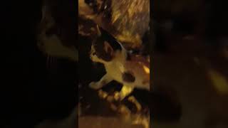 Tut Elimi Gidelim Nazlanma:)