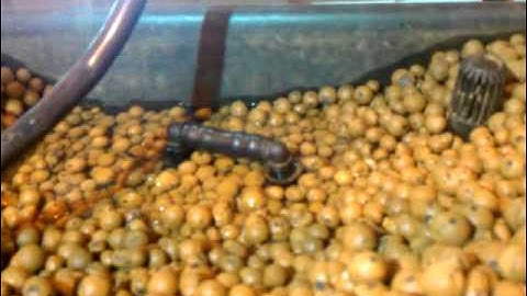 Auto syphon for indoor growbeds