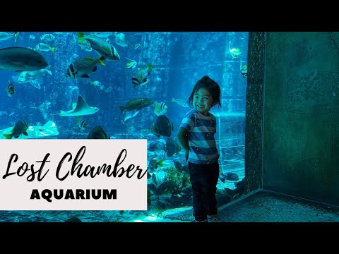 Tour of The Lost Chambers Aquarium Dubai | Atlantis The Palm