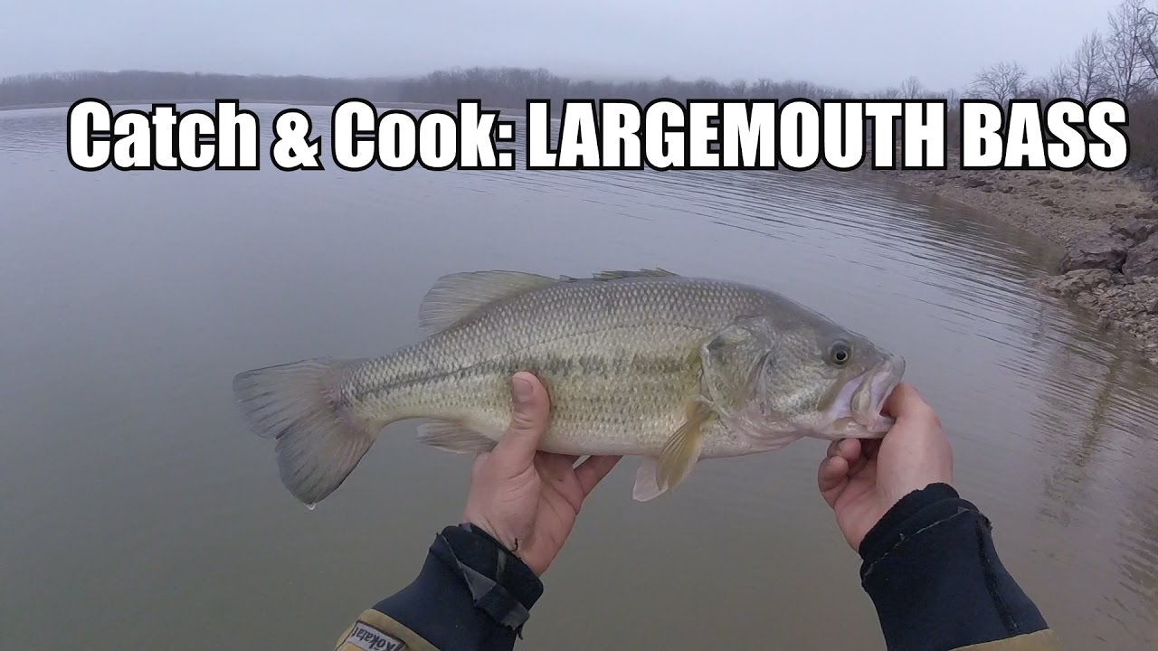 Catch & Cook Ep 8: LARGEMOUTH BASS - 
68,999 views  Apr 3, 2017
Been holding this one back for a little bit, but here it is....8th c & c is largemouth bass. Been having a hard time catching a "lega