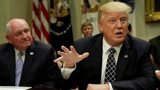 Trump slaps tariffs on softwood lumber