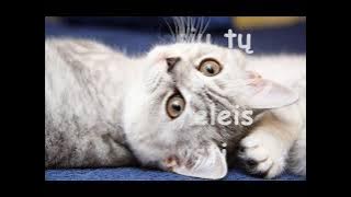 Liepa - Laiminga.wmv