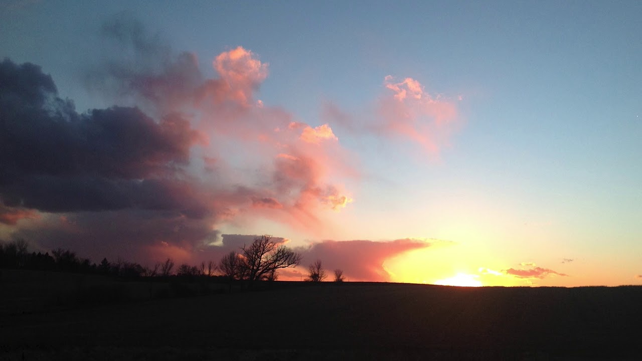 Deeply Rooted and Riding Off Into the Sunset