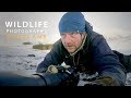 PHOTOGRAPHING MOUNTAIN HARES part 2 | Wildlife photography in Scotland - Behind the scenes vlog