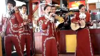 Video thumbnail of "COMO LA FLOR Mariachi tonantzin la familia de Sacramento California"