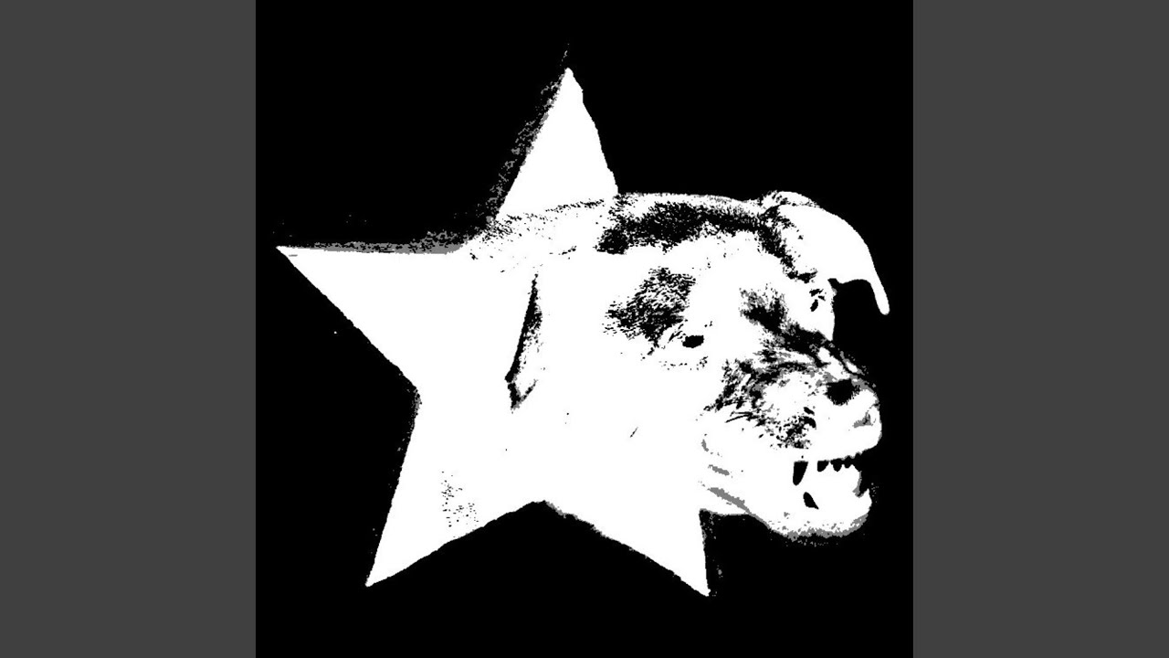Watch Stray Dog on YouTube Watch Stray Dog on YouTube