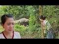 The Mute Wife Returns Heartbroken To Find Her Husband And His Ex Girlfriend Together The Mute Wife Returns Heartbroken To Find Her Husband And His Ex Girlfriend Together