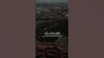 سورة الزمر #مشاري_العفاسي|قالب قران كاب كات|quran-capcut-template