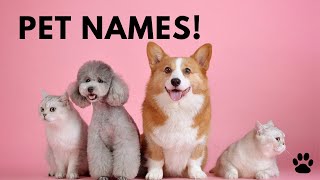 Pet Names Best List - 38 CUTE & TOP Ideas [Including 20 CELEBRITY PET NAMES]