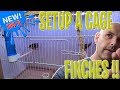How to Setup a cage for FINCHES ! FINCH care 2019 | Breeding Birds