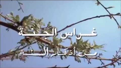 أدعية وأذكار من صحيح السنة في خدمة القرآن الكريم