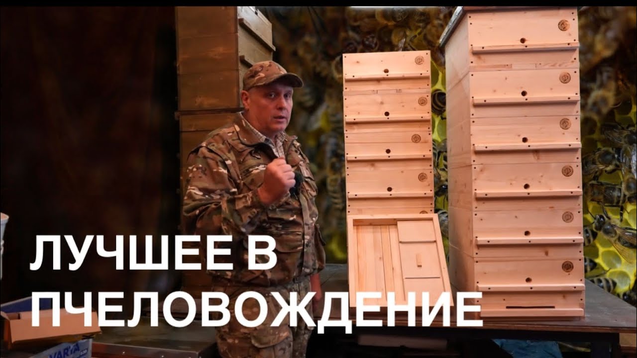 ЛУЧШИЙ УЛЕЙ, НОМЕР 1