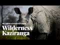 Wilderness Kaziranga : The epitome of wonderful wildlife