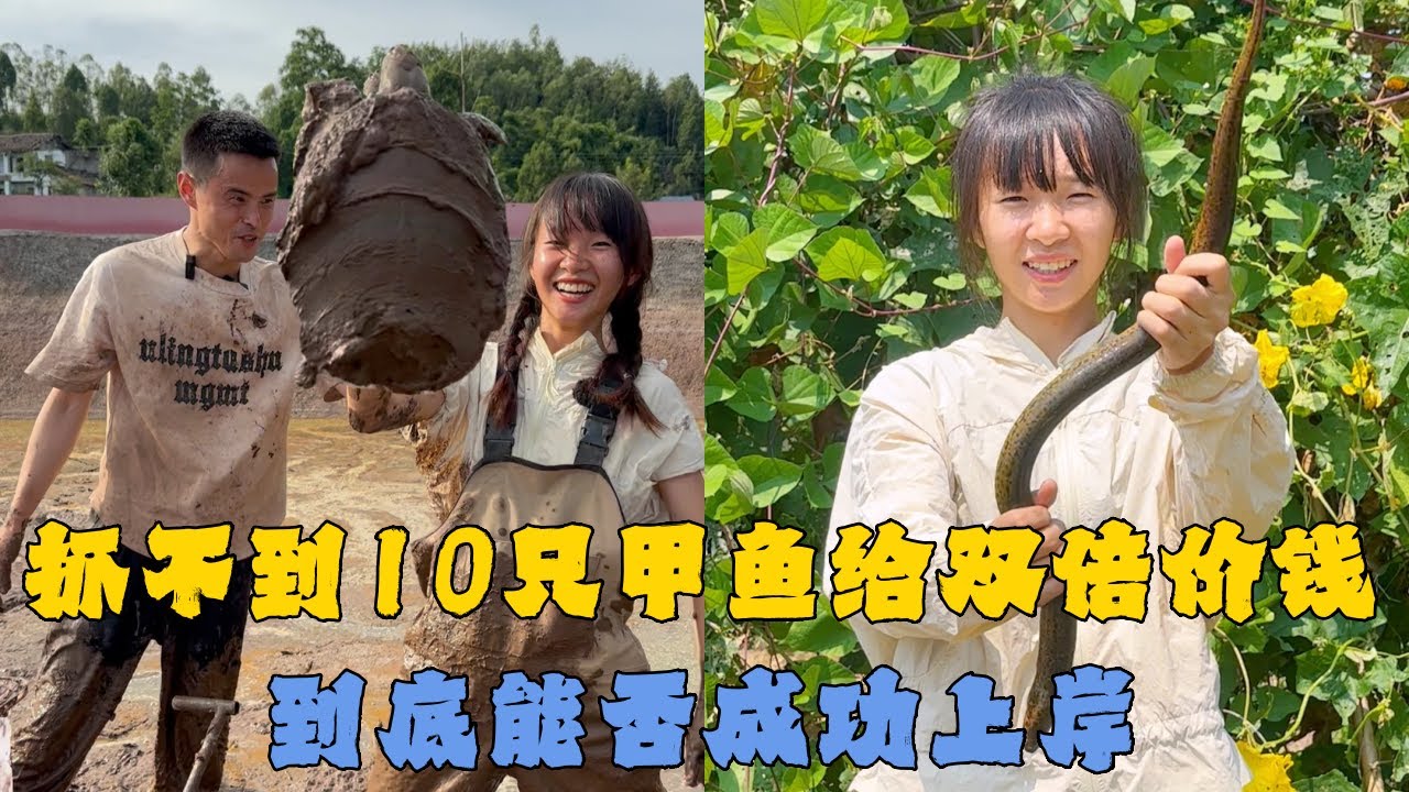 幺妹甲鱼塘捡漏，一小时抓不到10只给双倍价钱，到底能否成功上岸？