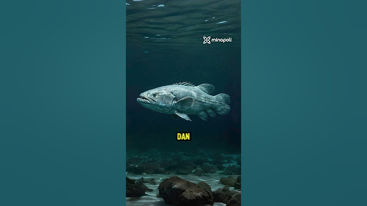 Hanya Ditemukan di Laut Sulawesi dan Afrika!