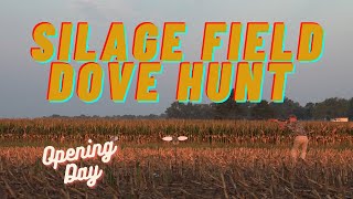 Dove Hunting! Public and Private Land Hunts! Dove Hunting Highlights Public And Private Land 2022 Dove Season