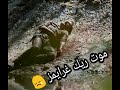 موت ريك غرايمز Rick Grimes الموسم التاسع على اغنية رائعة