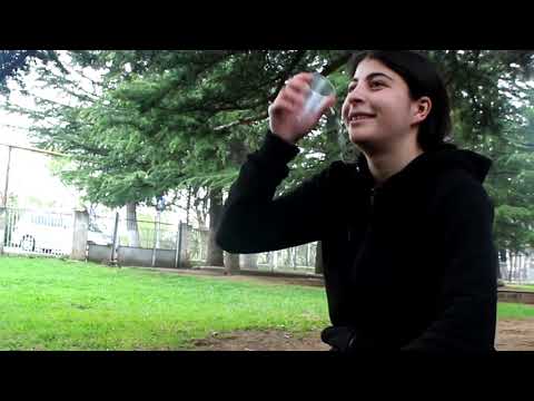 სკოლიდან გაქცევა