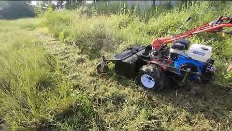 Máy cắt cỏ trục băm đường cắt 8 tấc máy Huynhdai 15hp 0849449676