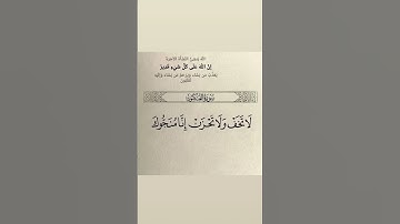 سورةالعنكبوت#قرآن#قرآن_كريم#قران #قران_كريم #حالات #اكسبلور #رمضانمبارك #دويتو #لايك #تيك_تو #فلسطين