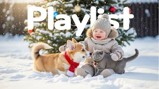 Cozy Christmas Carol Instrumental 🎁 따뜻한 크리스마스 캐롤 감성 🌨️ 연말 힐링 재즈 인스트루멘털 20곡 screenshot 3