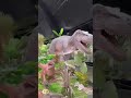 Adventure #viralvideo #video #viralshorts #viralreels #viralvideos