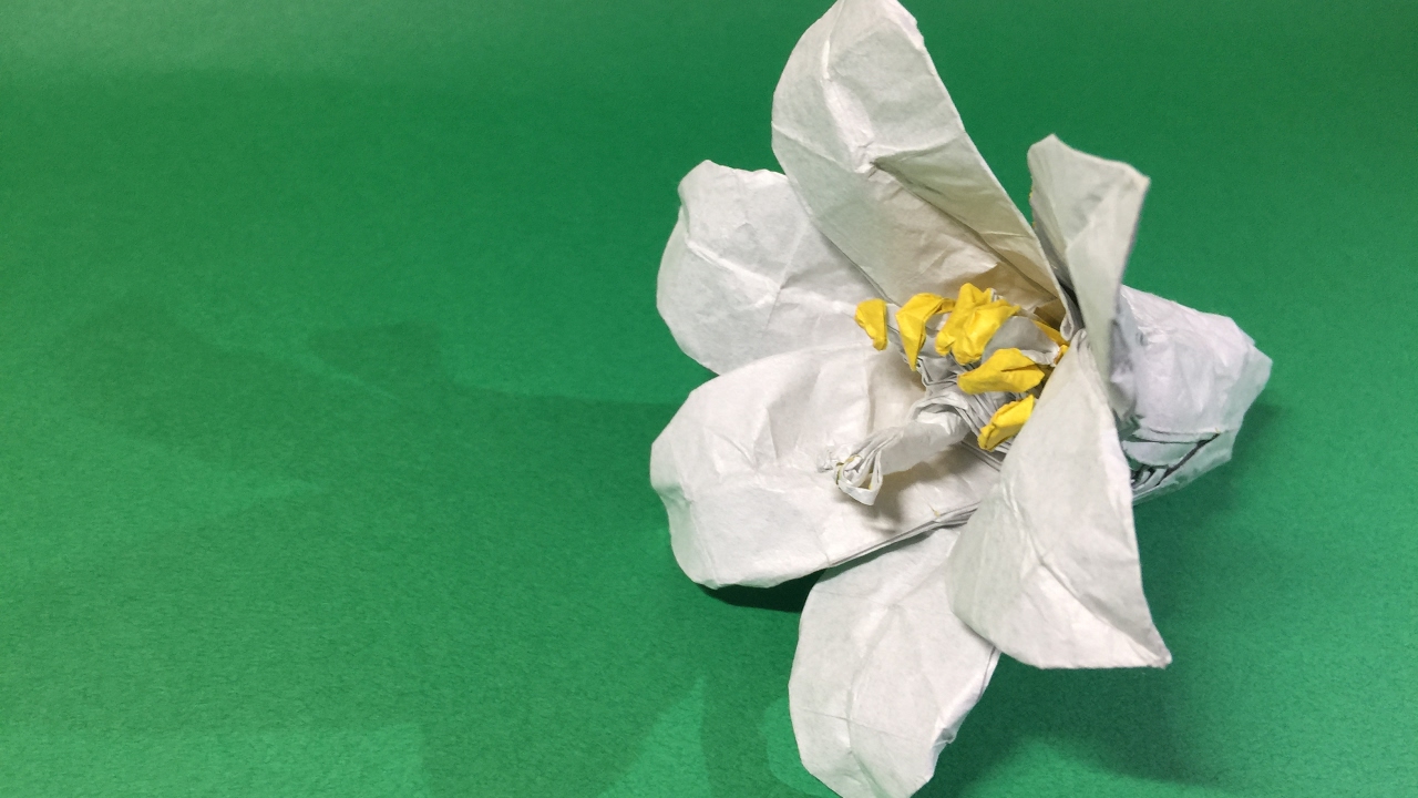 折り紙 オリジナル ユリの折り方 Original Origami Lily Flower Youtube 折り紙 百合の花 ユリ