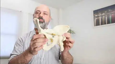 Como tratar o nervo pudendo?