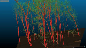 SimpleForest - an open source tool to model forestry sceneries