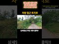 농사 안지어도 되는 토지  포항부동산 포항토지 임야 경매  촌땅 시골땅 포항경매 #착한부동산