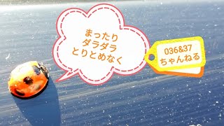 【番外編229】036&37ちゃんねる：完全オフモード。まったり、ダラダラ、とりとめなく。夕方、一杯やりながらお気楽に。イメージは「深夜ラジオ風」。不動産投資の話とかはしません。