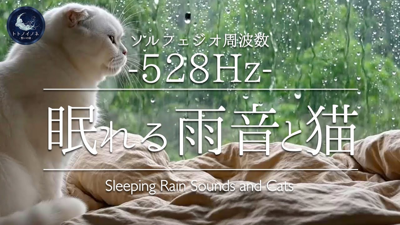 【528Hz】雨の日の窓辺で待つ猫と心地よい雨音｜ぐっすり眠れる｜睡眠・リラックスBGM｜