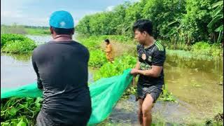 Oh, fish, cooking.🐠🐠🐠🐠