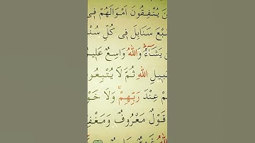 سورة البقرة الأية 261 إلى 262 القارئ مشاري راشد العفاسي