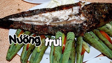 Món ăn ngon CÁ LÓC NƯỚNG cuộc sống Miền TÂY | @Vuivlogs #19