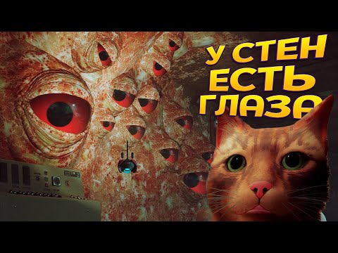 Видео: У СТЕН ЕСТЬ ГЛАЗА ( Stray )