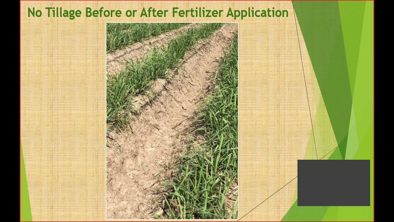 TOPIC FERTILIZER APPLICATION AT DIDA IN THE ATWIMAKWANWOMA DISTRICT IN THE  ASHANTI REGION. - ppt download