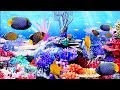 4K HDR Video – Beautiful world of undersea animal and nature