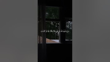 تلاوة من سورة الأنفال (١٥ - ٢٣) للقارئ ماجد مصطفى