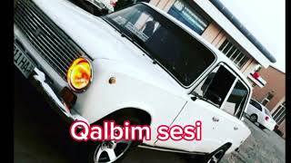 qalbim sesi mp3