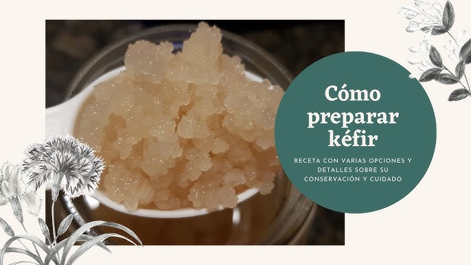 Natural Probio® Kéfir de agua - Kit de inicio de cultivo - Granos de kéfir  de frutas + Instrucciones completas Receta y consejos : :  Alimentación y bebidas