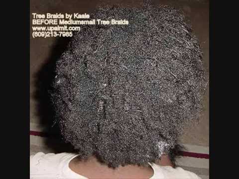 Tree Braids by Kaale: Transitioning Before and Aft...