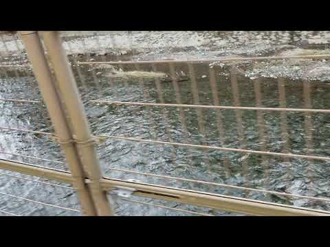耳を鍛える動画⑥