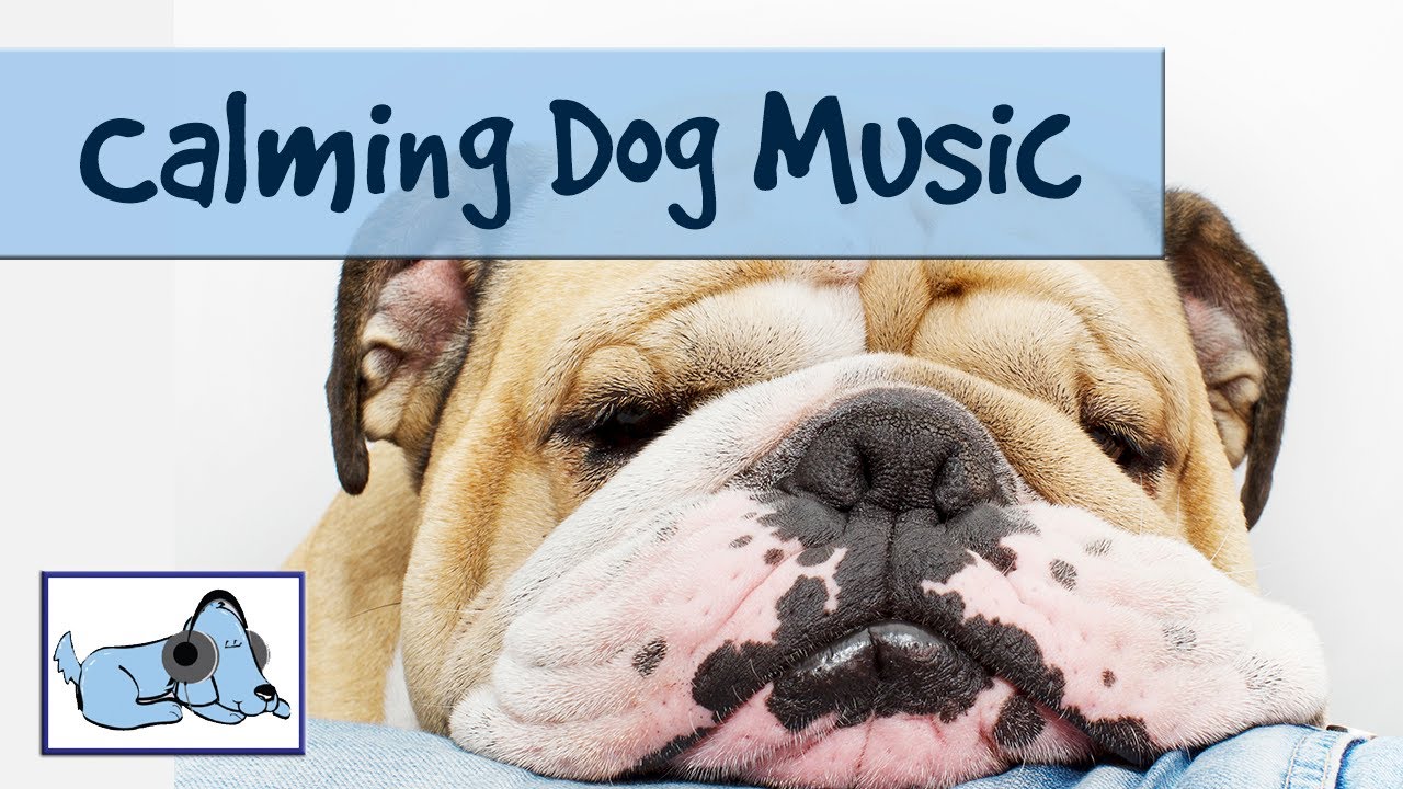 music calming for dogs