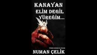 Kanayan Eli̇m Degi̇l Yuregi̇m