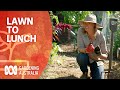 How to turn your lawn into your lunch | Growing Fruit And Vegies | Gardening Australia