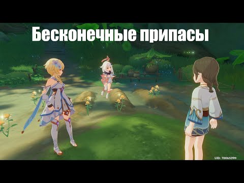 [Genshin Impact] Бесконечные припасы (скрытое достижение, Сумеру)
