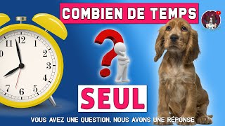 COMBIEN DE TEMPS LAISSER SON CHIEN SEUL