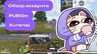 Обзор Аккаунта Короля Льда В Pubgm | Kurenai 2024