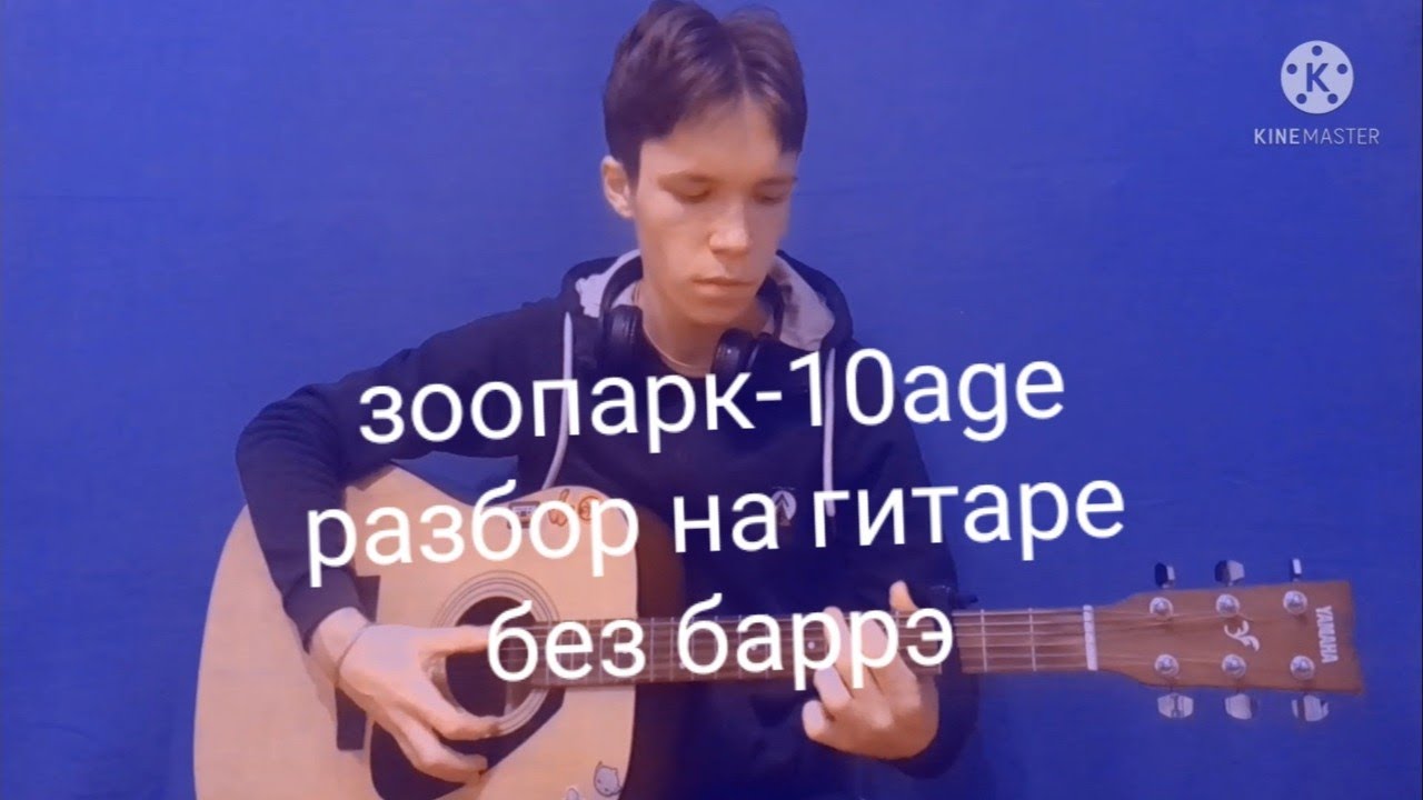 Зоопарк на гитаре